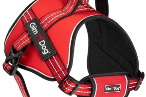 GimDog Advance M 3,2*78-96 Rosso