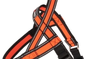 GimDog Pettorale Y Mesh 1,5*42 45-55 cm Arancio